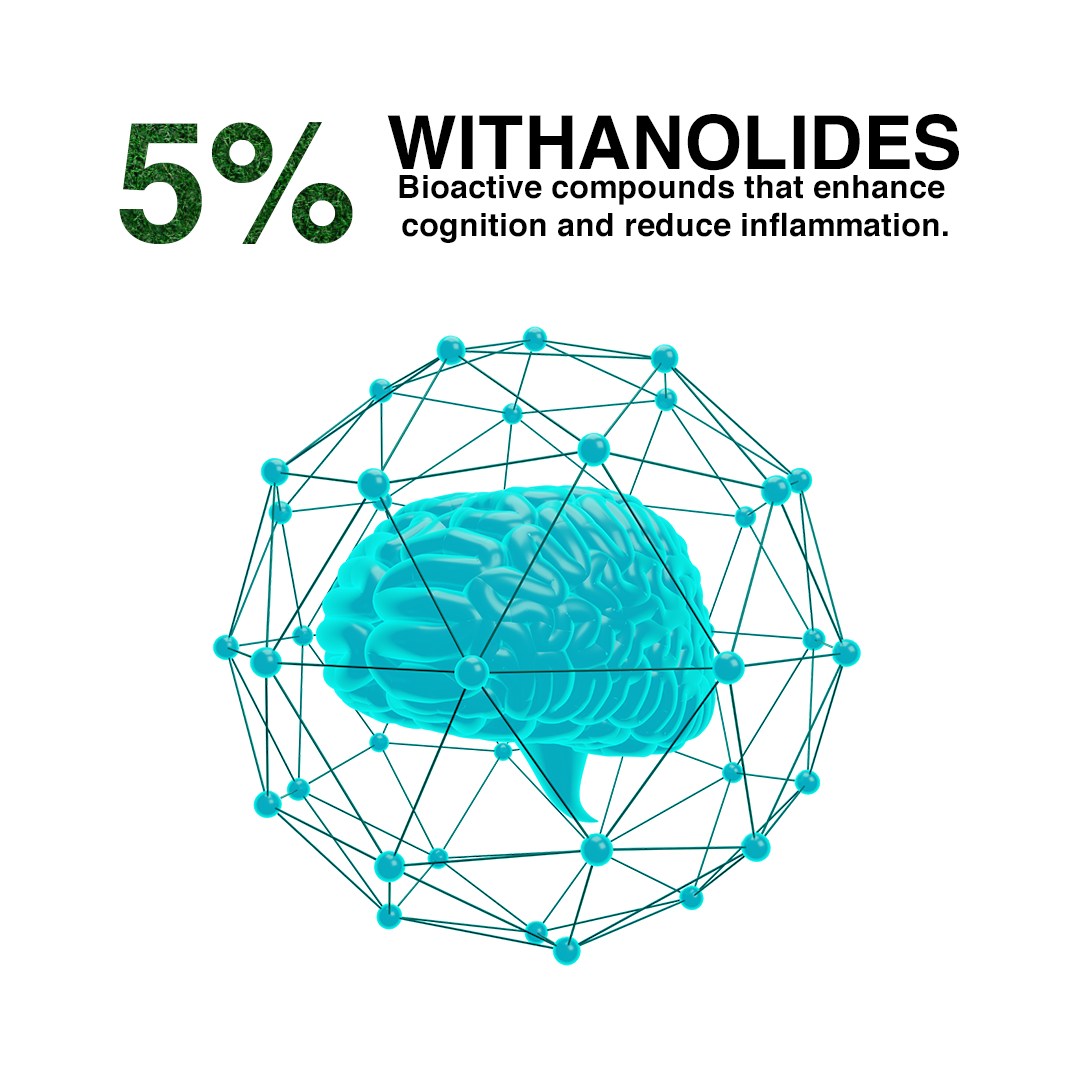 Ashwagandha,Ayurvedic Stress Relief & Energy Booster Supplement