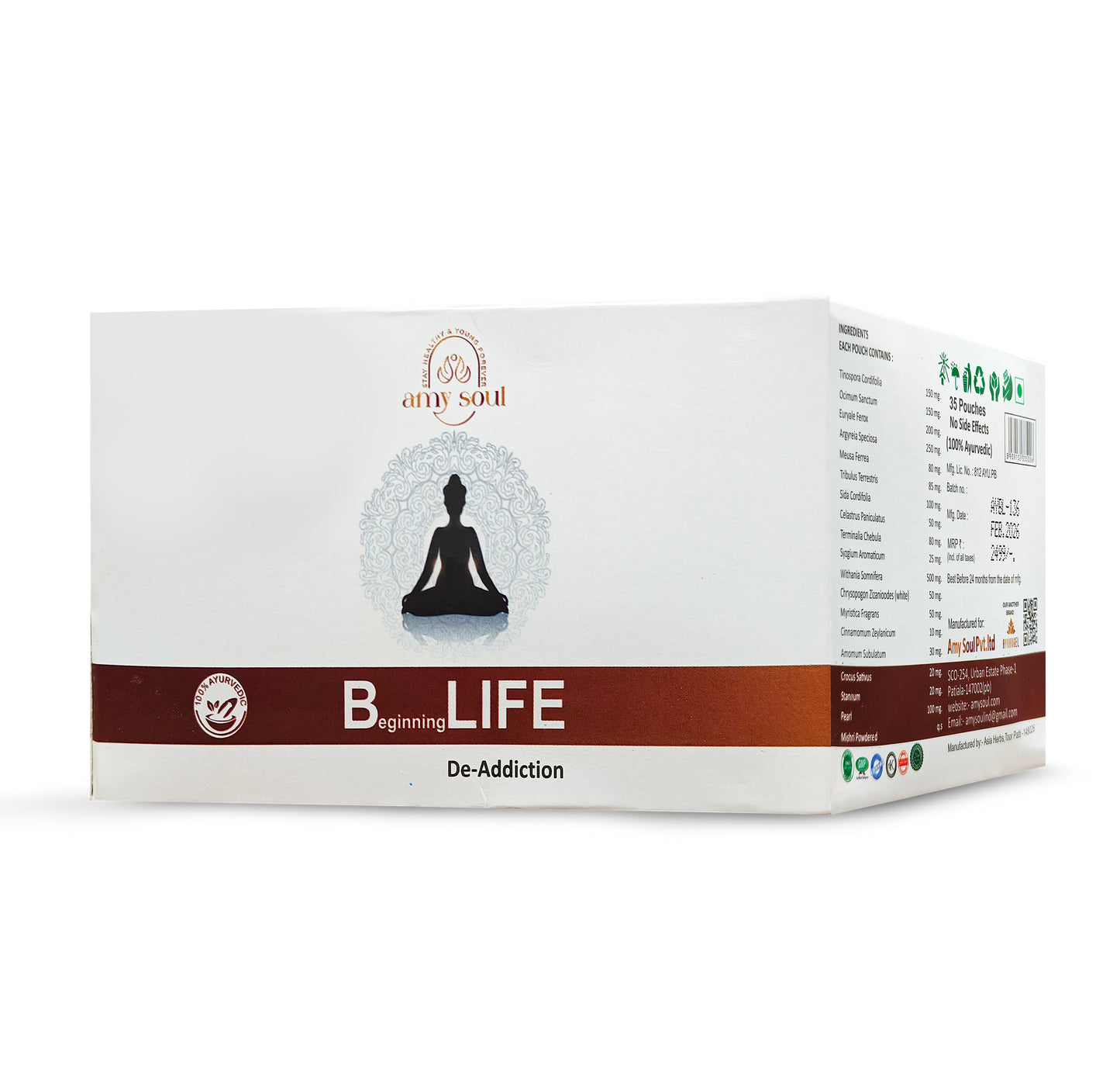 B-Life – Ayurvedic Detox & Nervous System Recovery Formula
