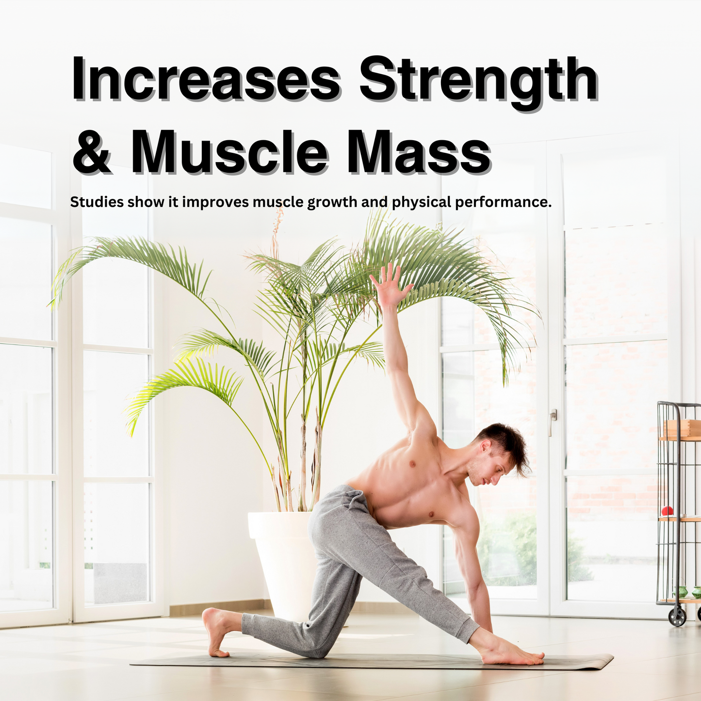 Ashwagandha, Ayurvedic Stress Relief & Energy Booster Supplement