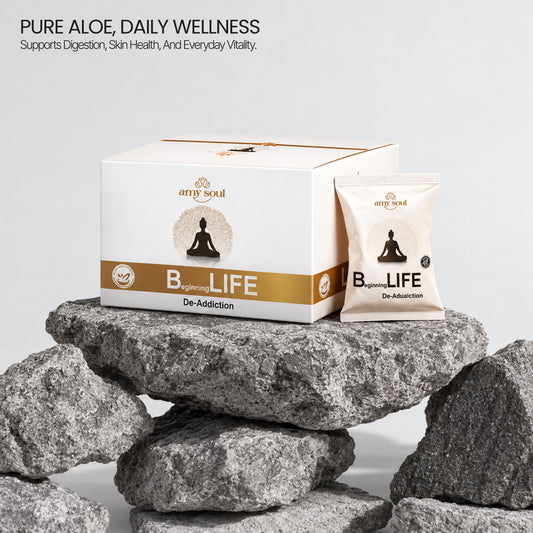 B-Life – Ayurvedic Detox & Nervous System Recovery Formula
