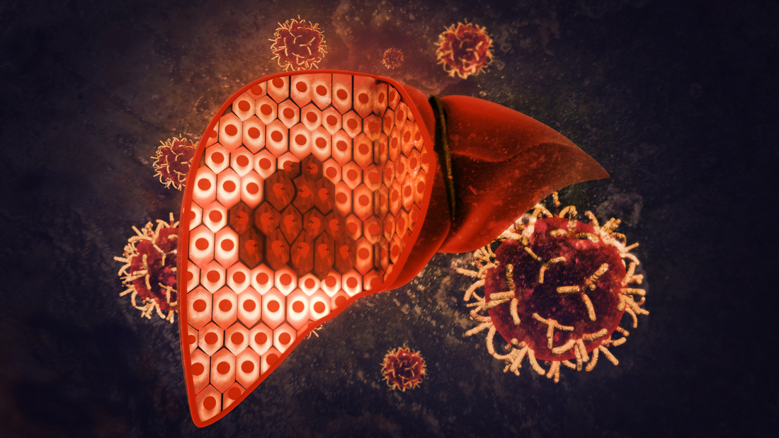 Fatty Liver: Understanding the Condition, Symptoms & The Ayurvedic Approach to Liver Health