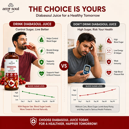 Amysoul Diabasoul Juice – Advanced Berberine Blend for Diabetes Support | 500ml