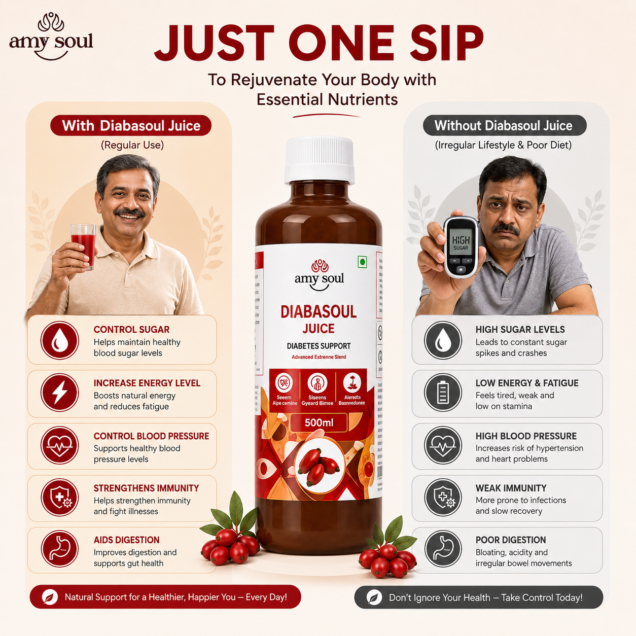 Amysoul Diabasoul Juice – Advanced Berberine Blend for Diabetes Support | 500ml
