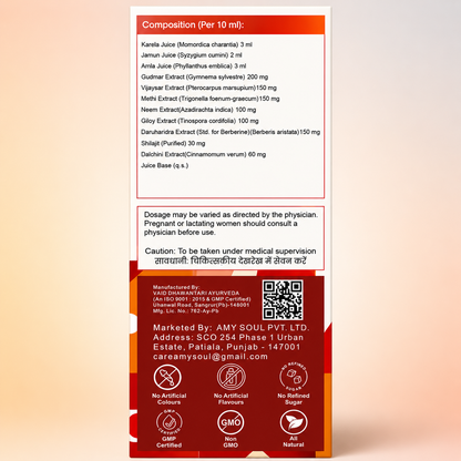 Amysoul Diabasoul Juice – Advanced Berberine Blend for Diabetes Support | 500ml