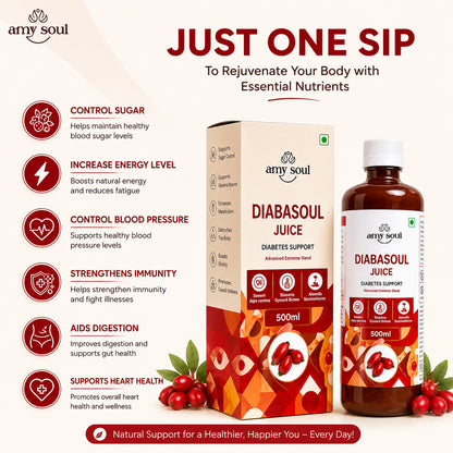 Amysoul Diabasoul Juice – Advanced Berberine Blend for Diabetes Support | 500ml