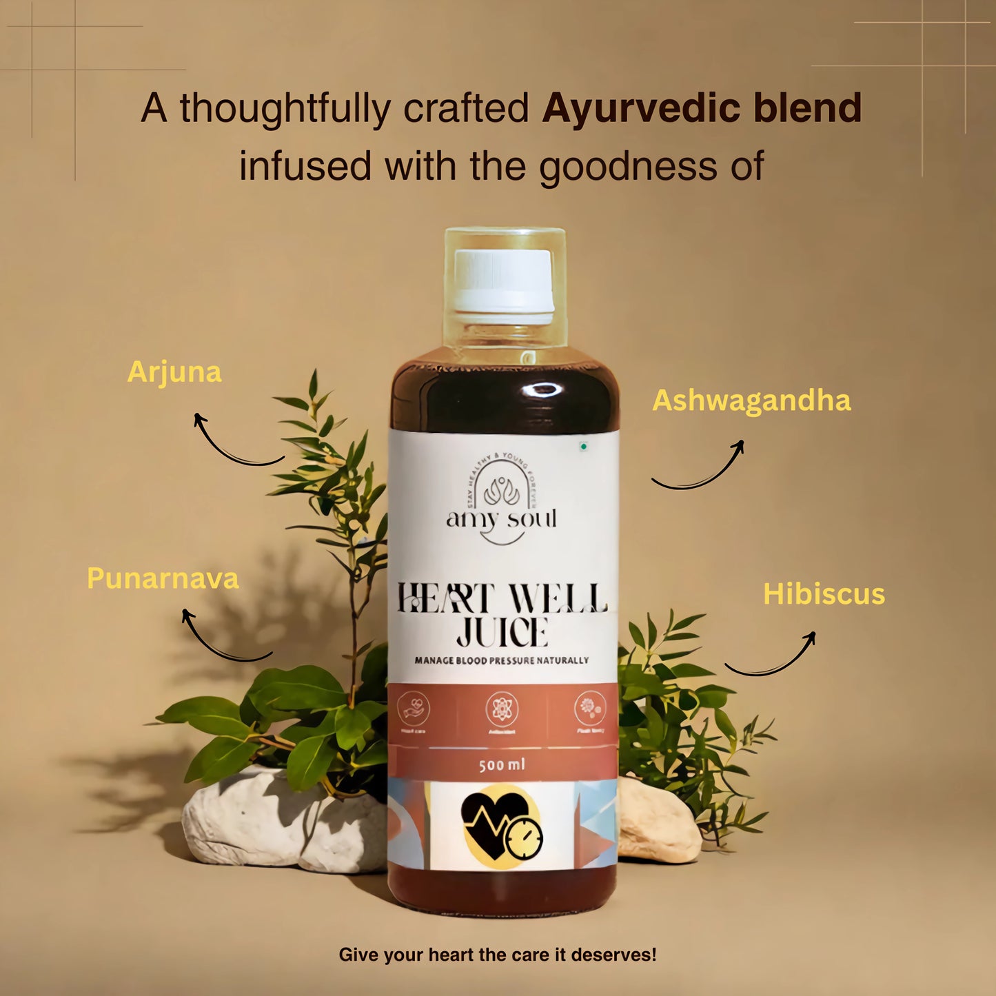 Heart Well Juice – Ayurvedic Formula to Manage Heart Health Naturally (500ml)