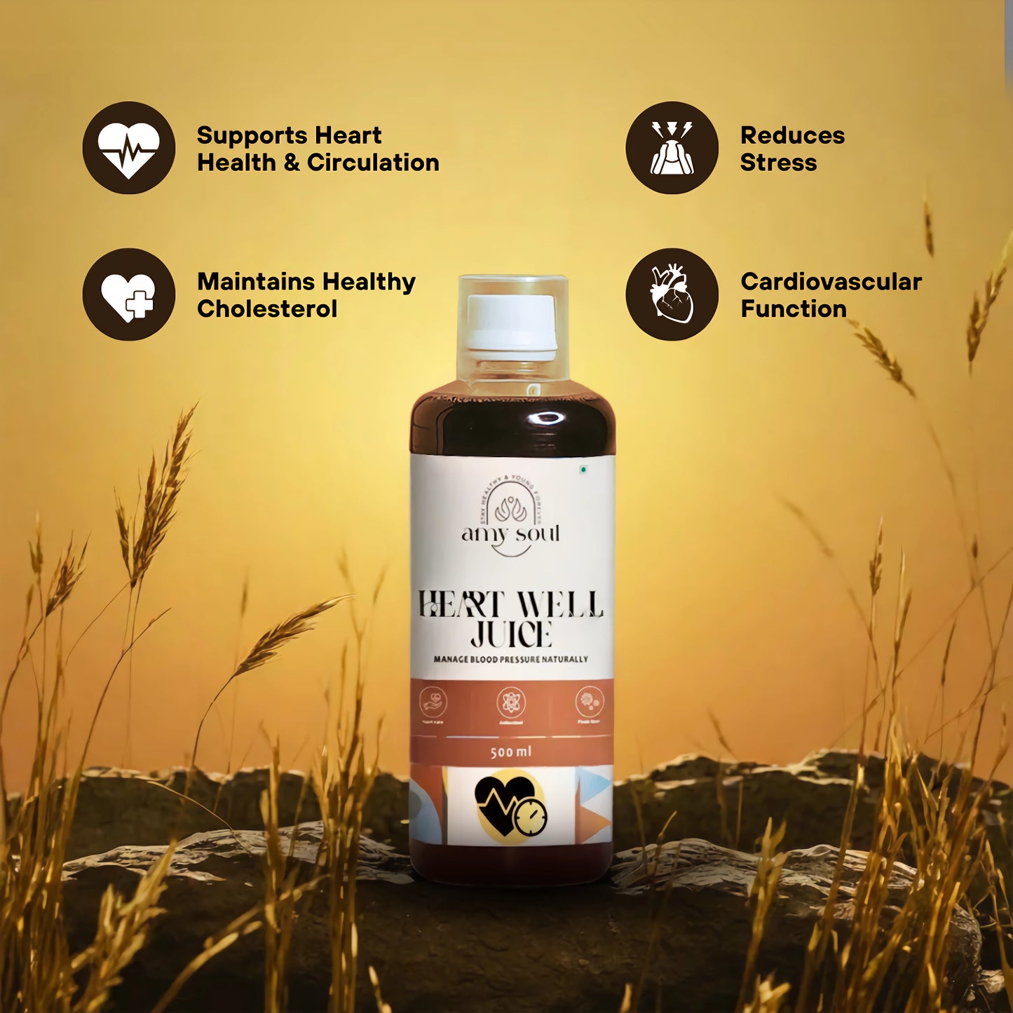 Heart Well Juice – Ayurvedic Formula to Manage Heart Health Naturally (500ml)