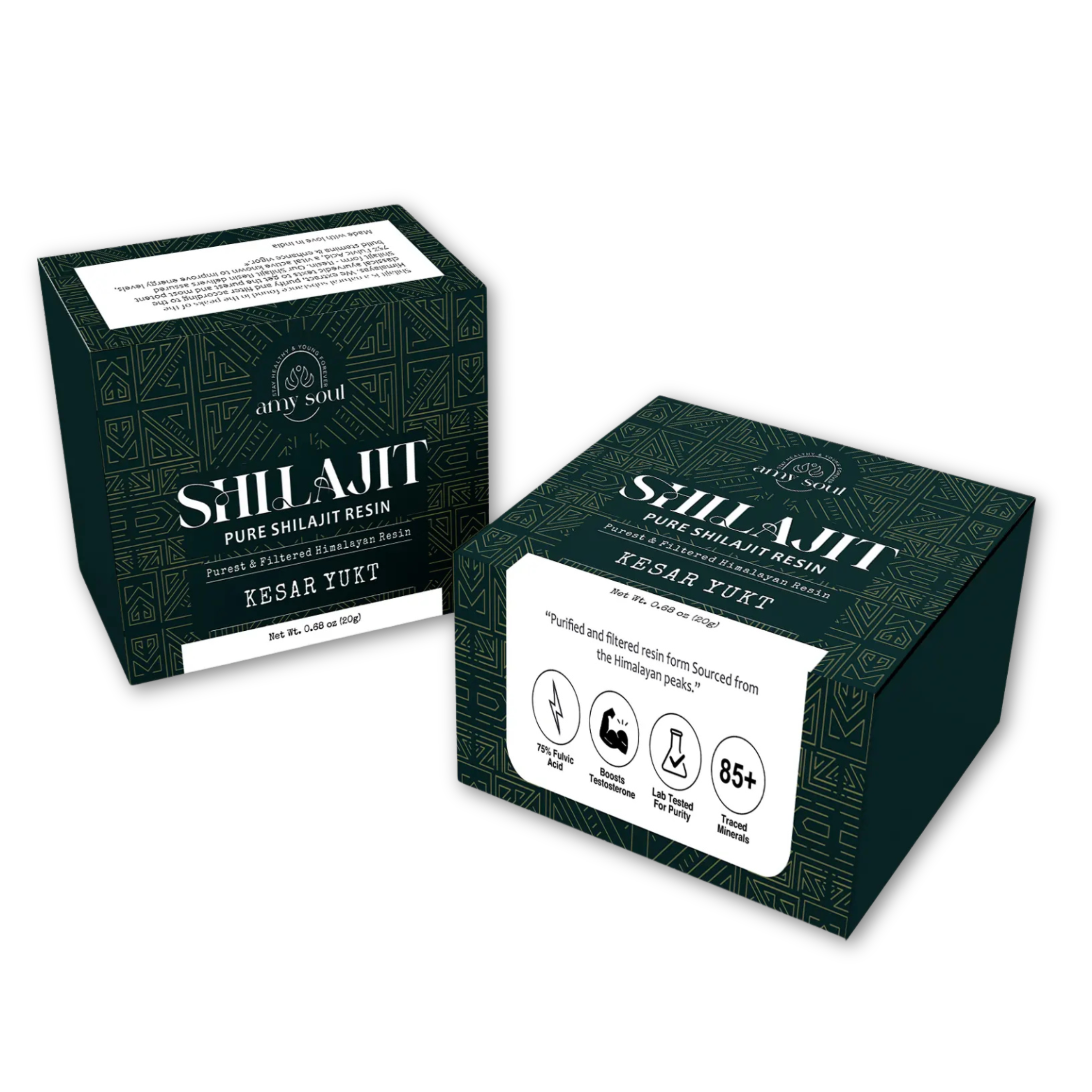 Kesar Yukt Shilajit