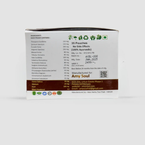 AmySoul B-Life – Ayurvedic Detox & Nervous System Recovery Formula
