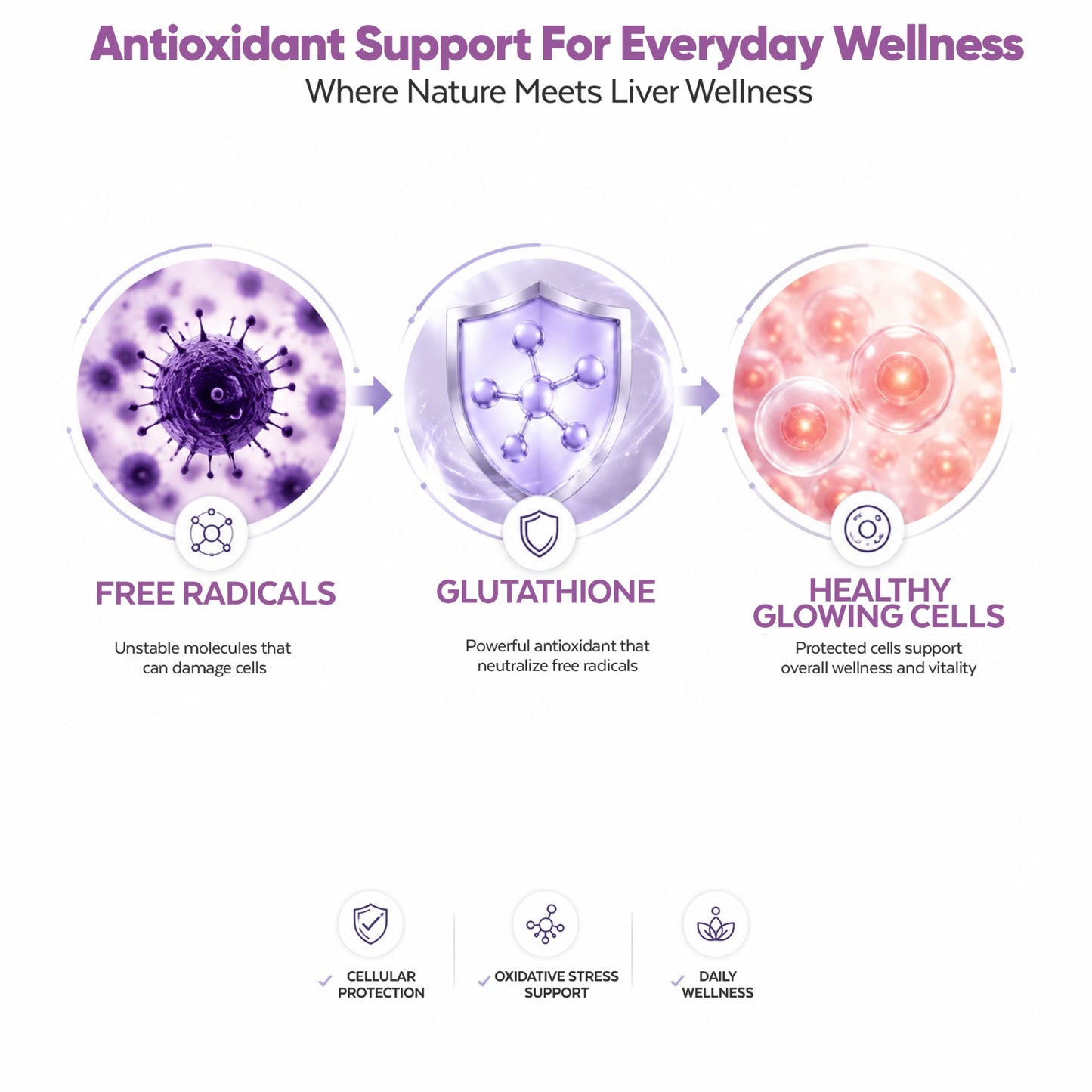 Livsoul – Liver Detox & Health Support Formula