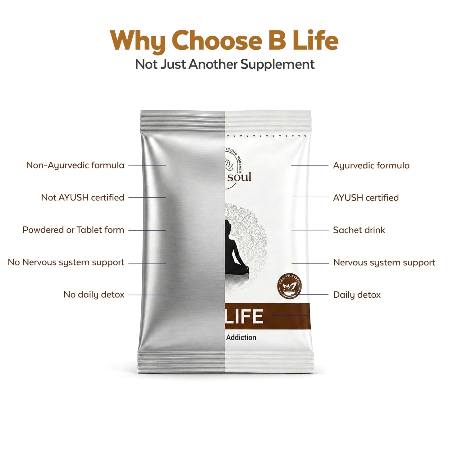 B-Life – Ayurvedic Detox & Nervous System Recovery Formula