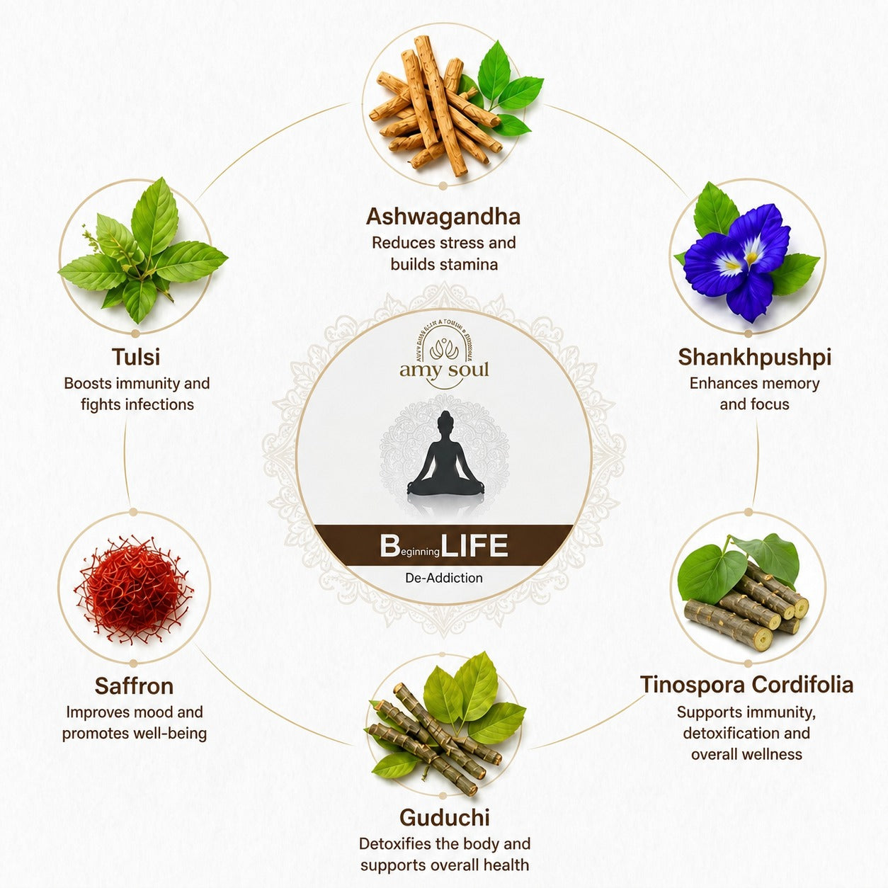 B-Life – Ayurvedic Detox & Nervous System Recovery Formula