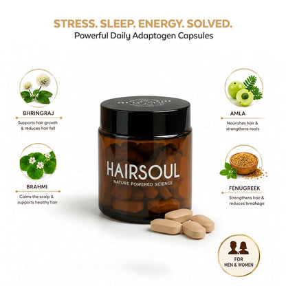 Hairsoul – Ayurvedic Hair Growth & Strengthening Tablets