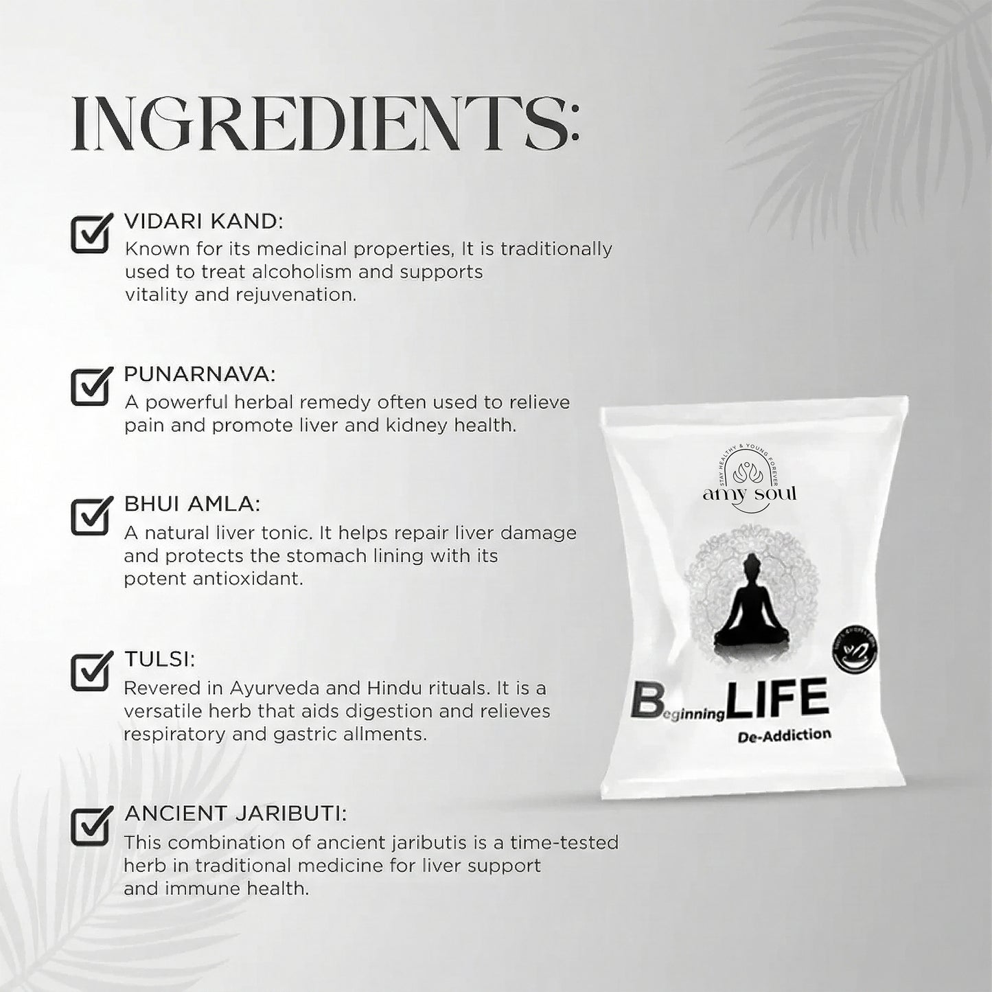 B-Life – Ayurvedic Detox & Nervous System Recovery Formula