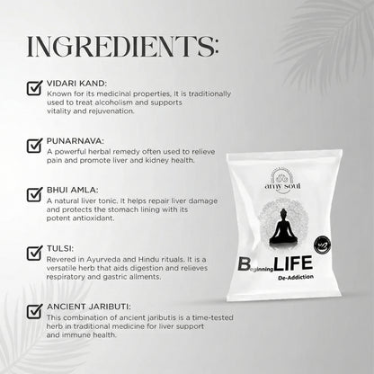 B-Life – Ayurvedic Detox & Nervous System Recovery Formula