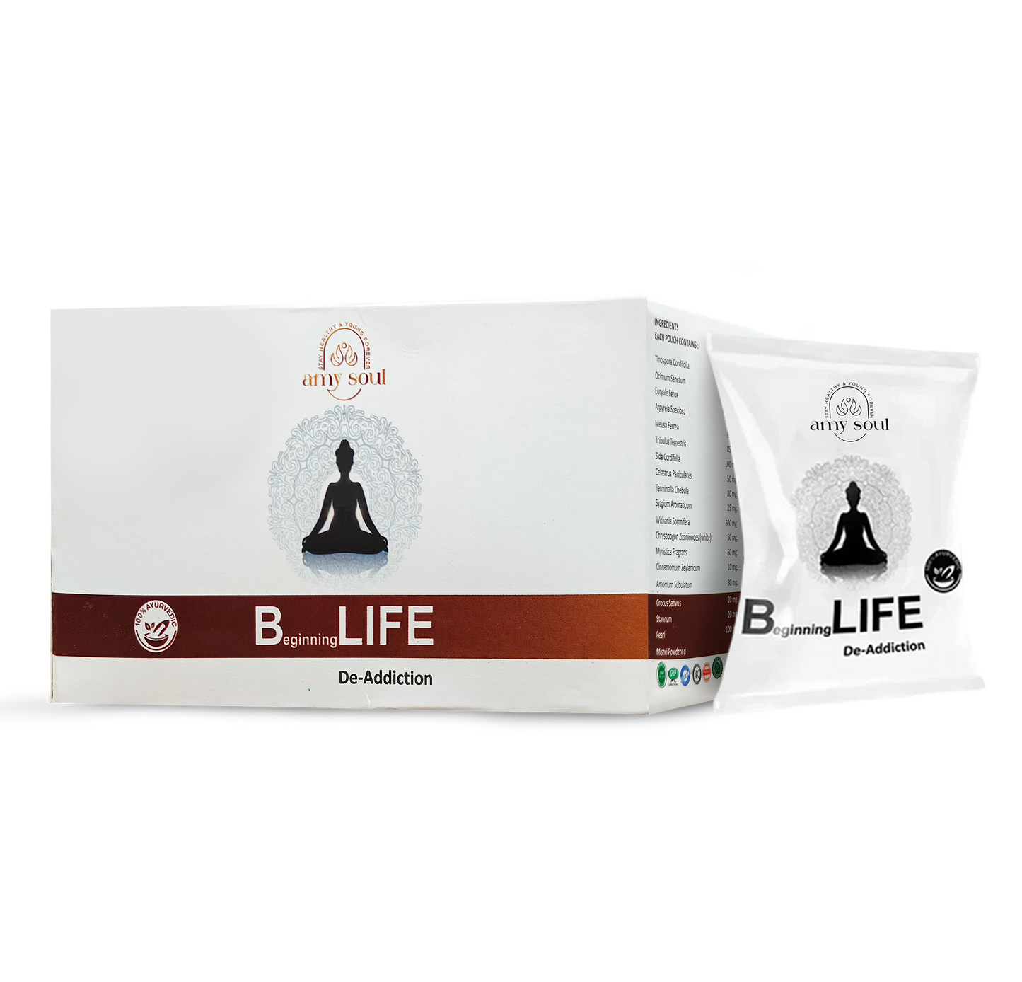B-Life – Ayurvedic Detox & Nervous System Recovery Formula