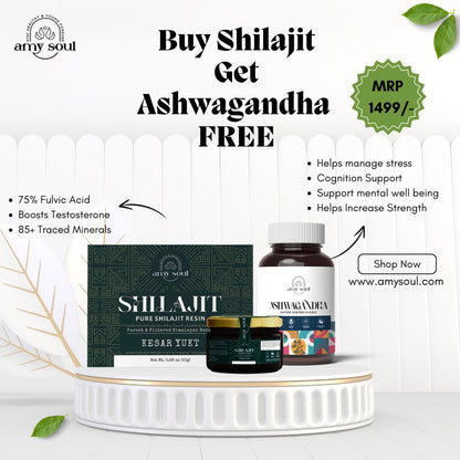 Kesar Yukt Shilajit